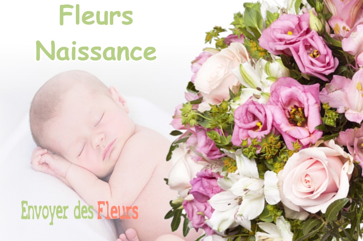 lIVRAISON FLEURS NAISSANCE à PIERRE-CHATEL